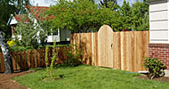 Western red cedar. Locally sourced, with full 3/4” thick dog eared boards and arch top gates.